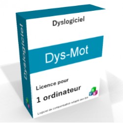 licence individuelle du logiciel Dys-Mot
